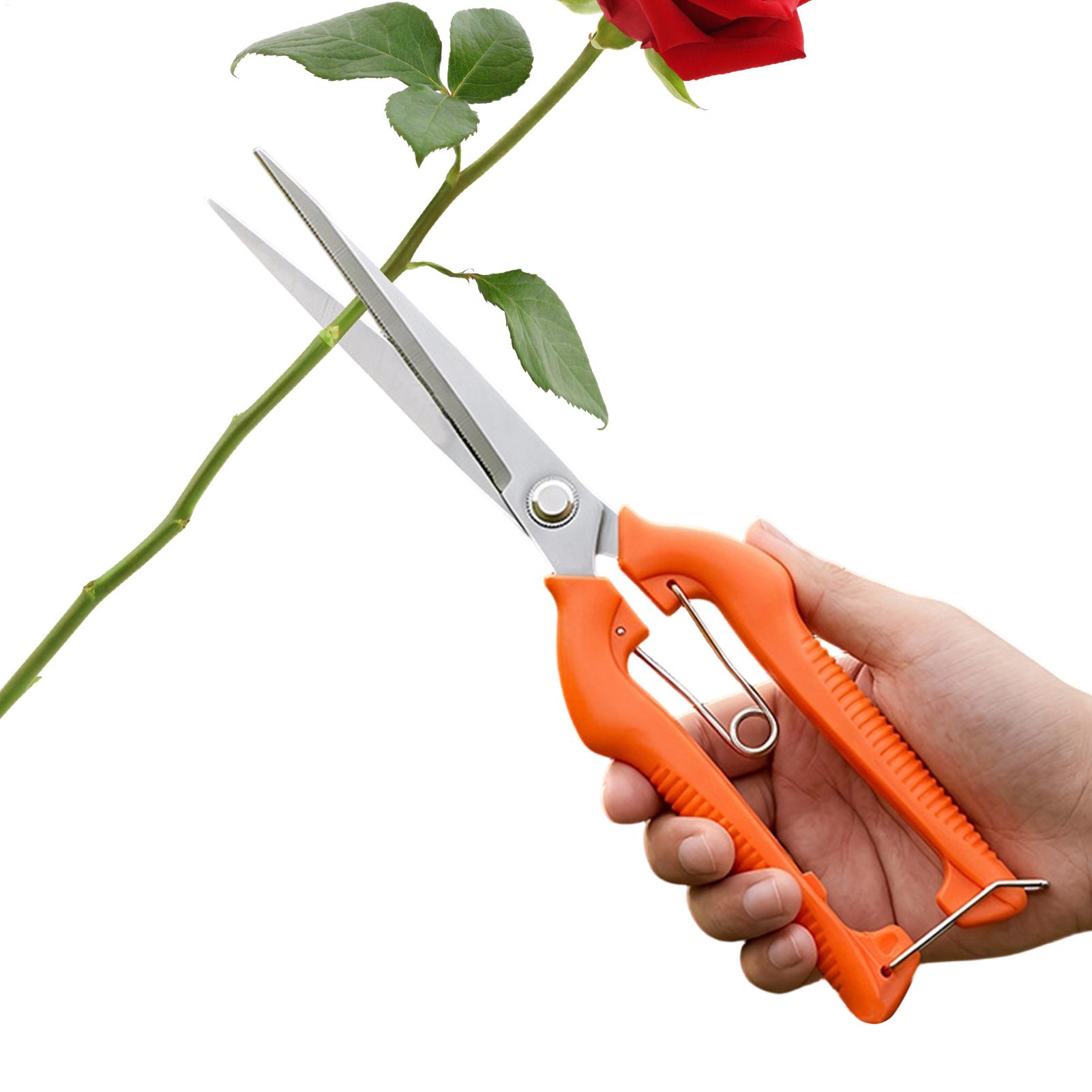 Gardening Tools For Beginners - 가지치기 가위 포도 가위 정원 도구