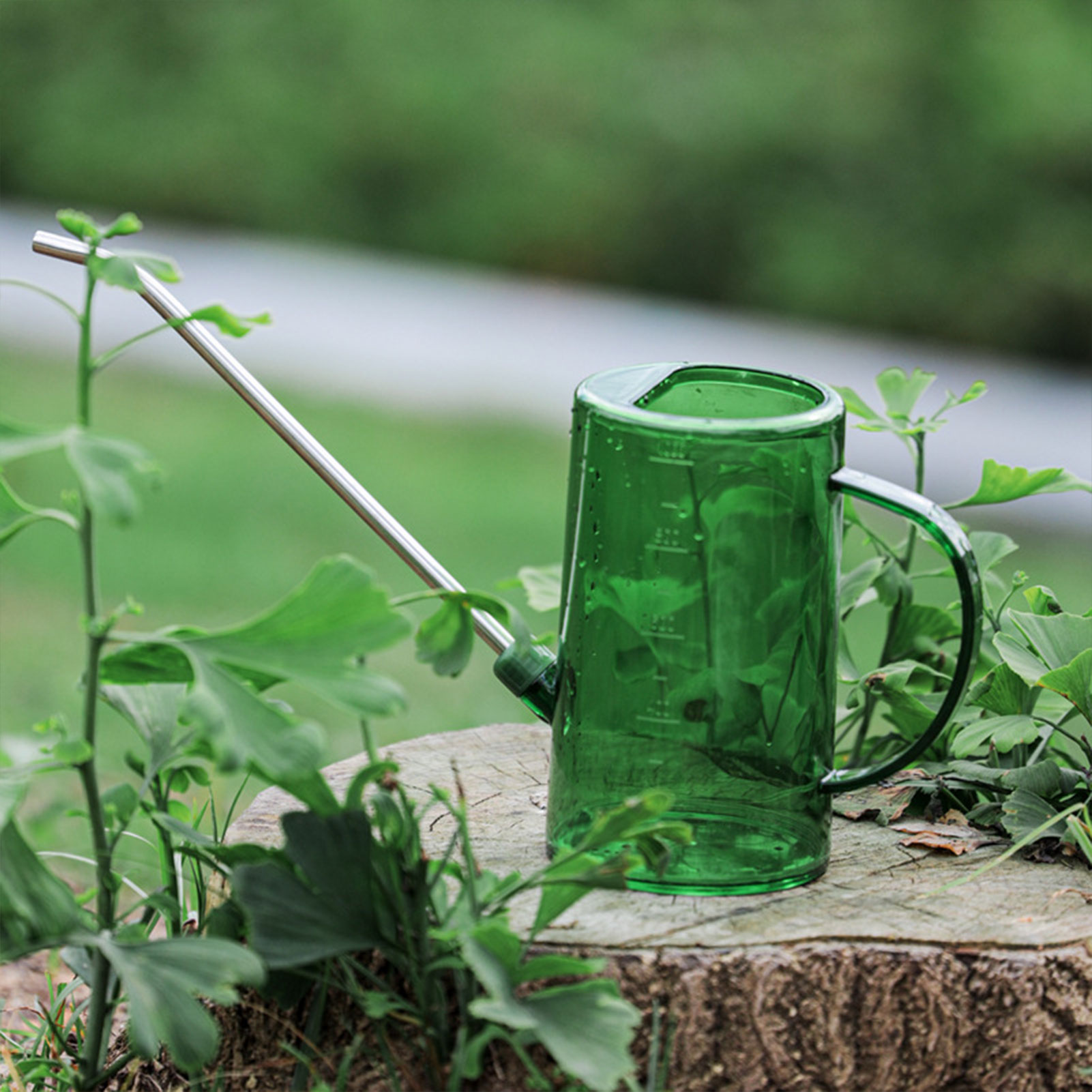Gardening Tools For Beginners - 1L/1.5L 실내 식물 물뿌리개 투명 분리형