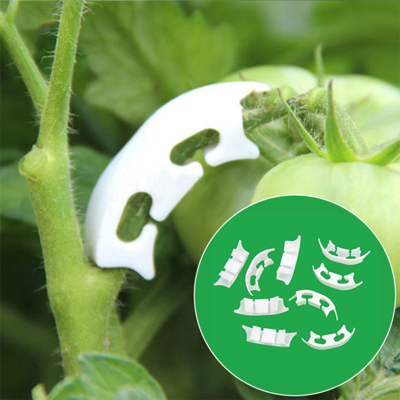 Gardening Tools Holder - 식물학 줄기 덩굴 스트랩 클립, 정원