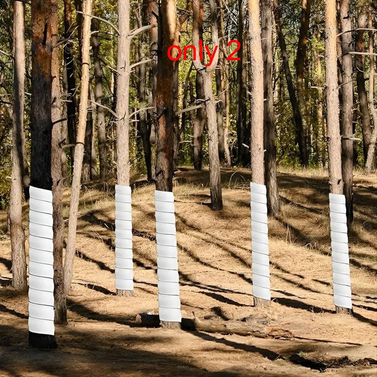 A75K 식물 나무 줄기 보호대 날씨 방지 방충 플라스 - Gardening Hand Tools B&Q 리뷰 및 가격