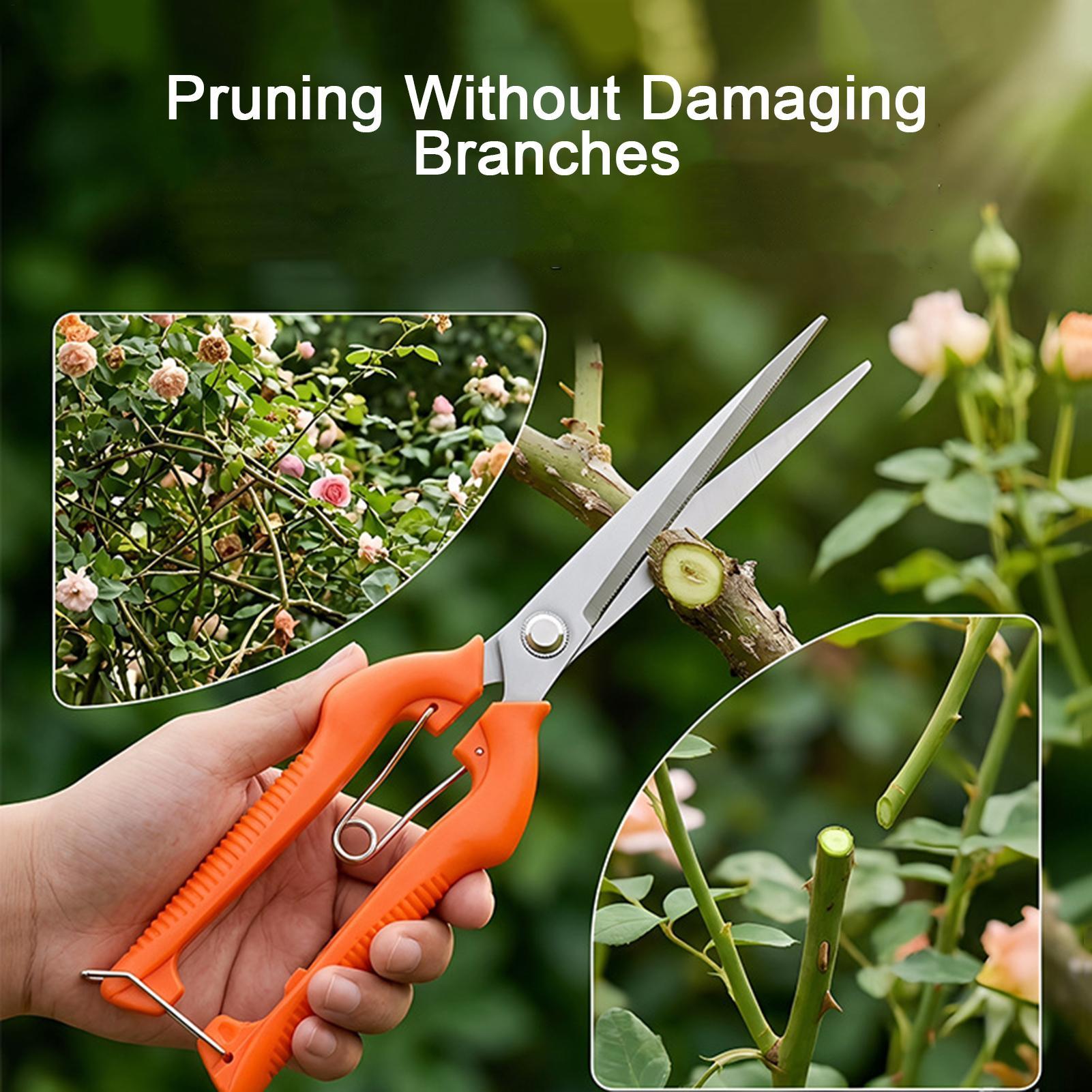 가지치기 가위 포도 가위 정원 도구 채소밭 분재 전문가 - Gardening Tools For Beginners 리뷰 및 가격