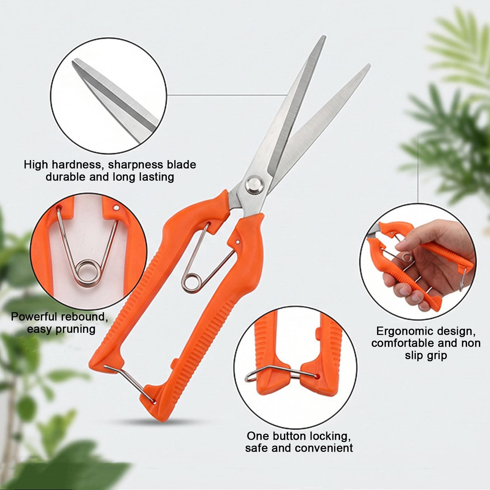 가지치기 가위 포도 가위 정원 도구 채소밭 분재 전문가 - Gardening Tools For Beginners 리뷰 및 가격