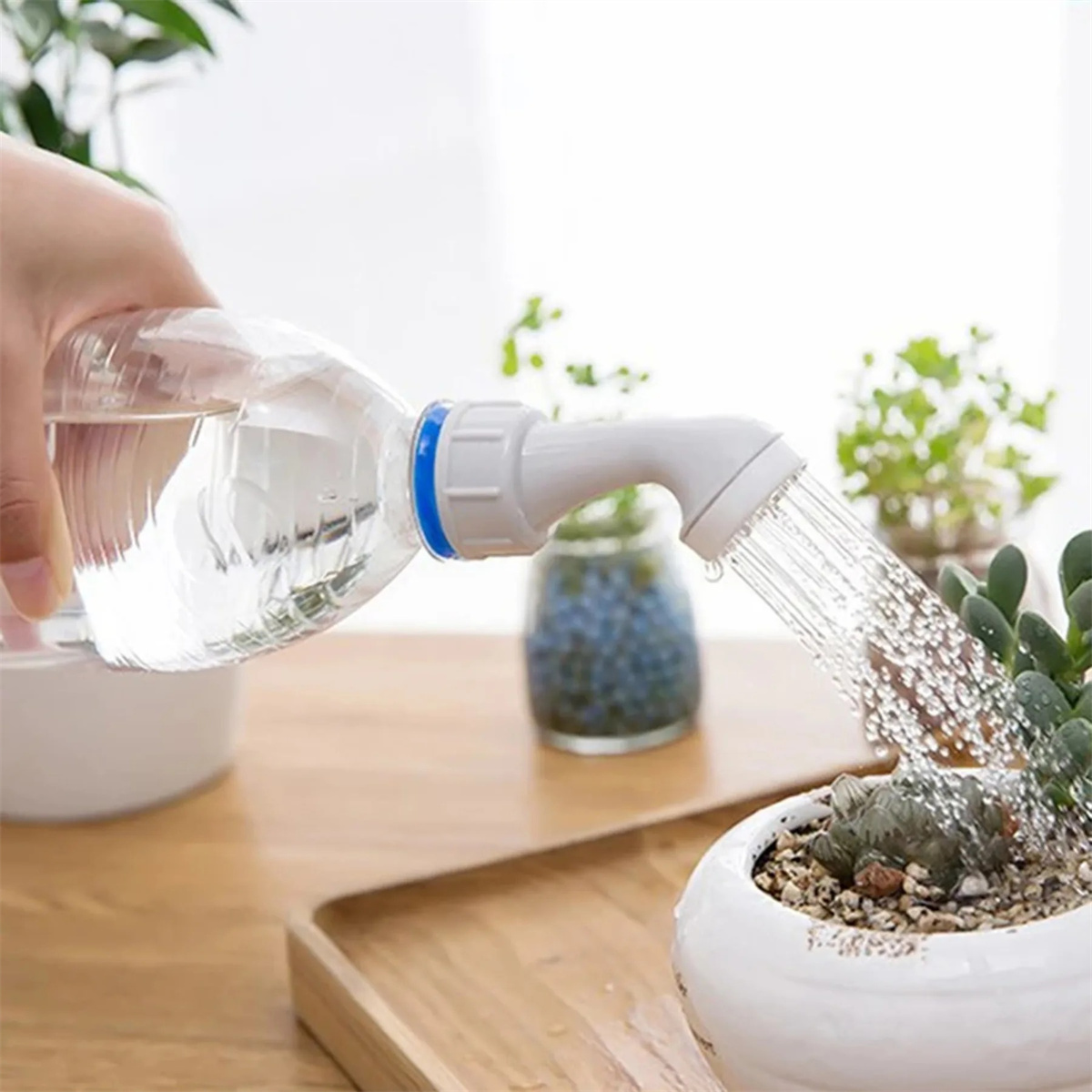 1/10개/세트 정원 스프레이 물뿌리개 휴대용 식물 정 - Gardening Tools For Beginners 리뷰 및 가격