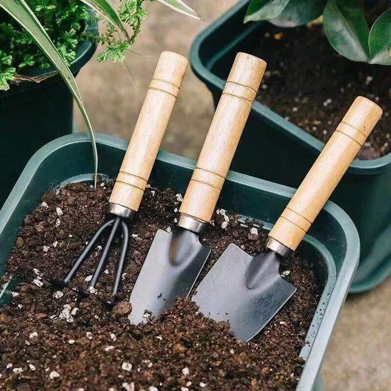 나무 손잡이가 있는 3피스 미니 원예 도구 세트, 실내 - Gardening Tools Wooden 리뷰 및 가격