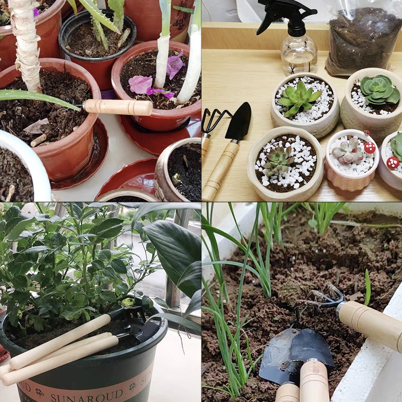 나무 손잡이가 있는 3피스 미니 원예 도구 세트, 실내 - Gardening Tools Wooden 리뷰 및 가격