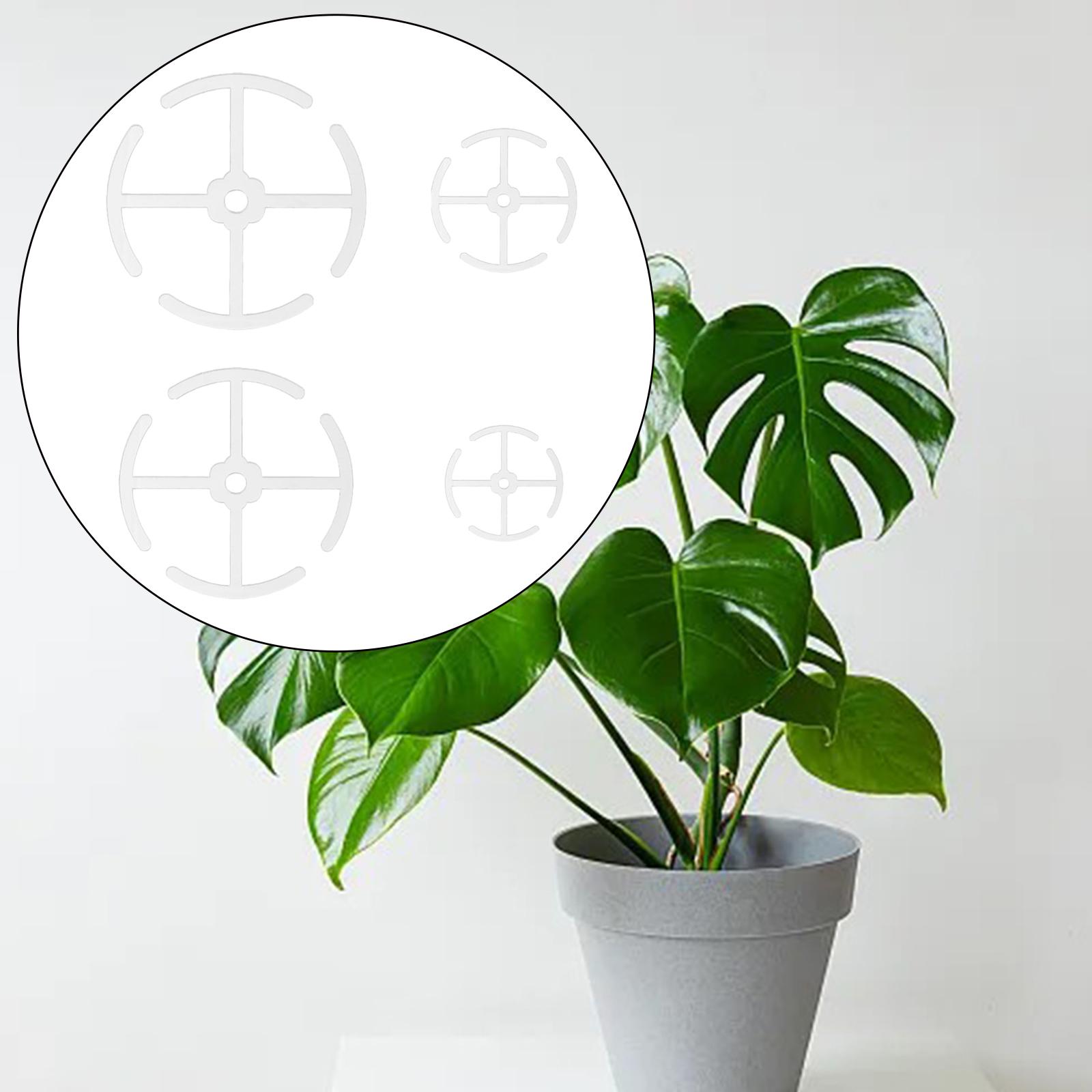 플라스틱 식물 줄기 지지대 다양한 크기의 등반 식물 지 - Gardening Tools Holder 리뷰 및 가격
