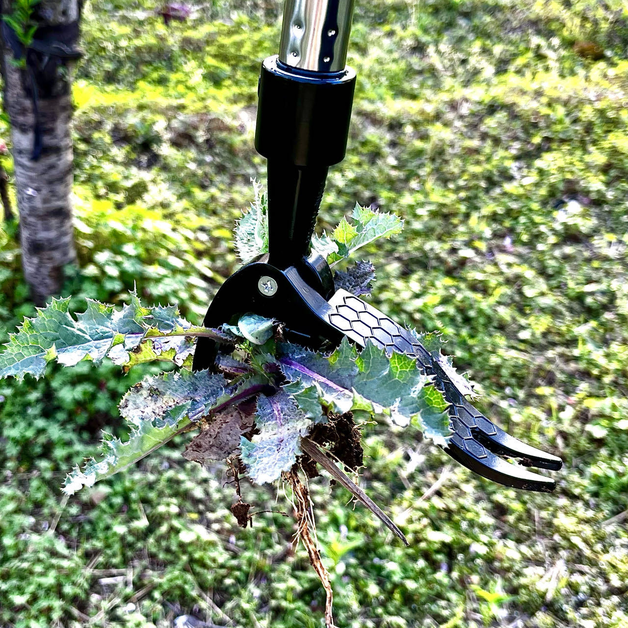 노동 절약 손 금속 잡초 추출기 스탠드 업 정원 손 도 - Gardening Tools You Need 리뷰 및 가격