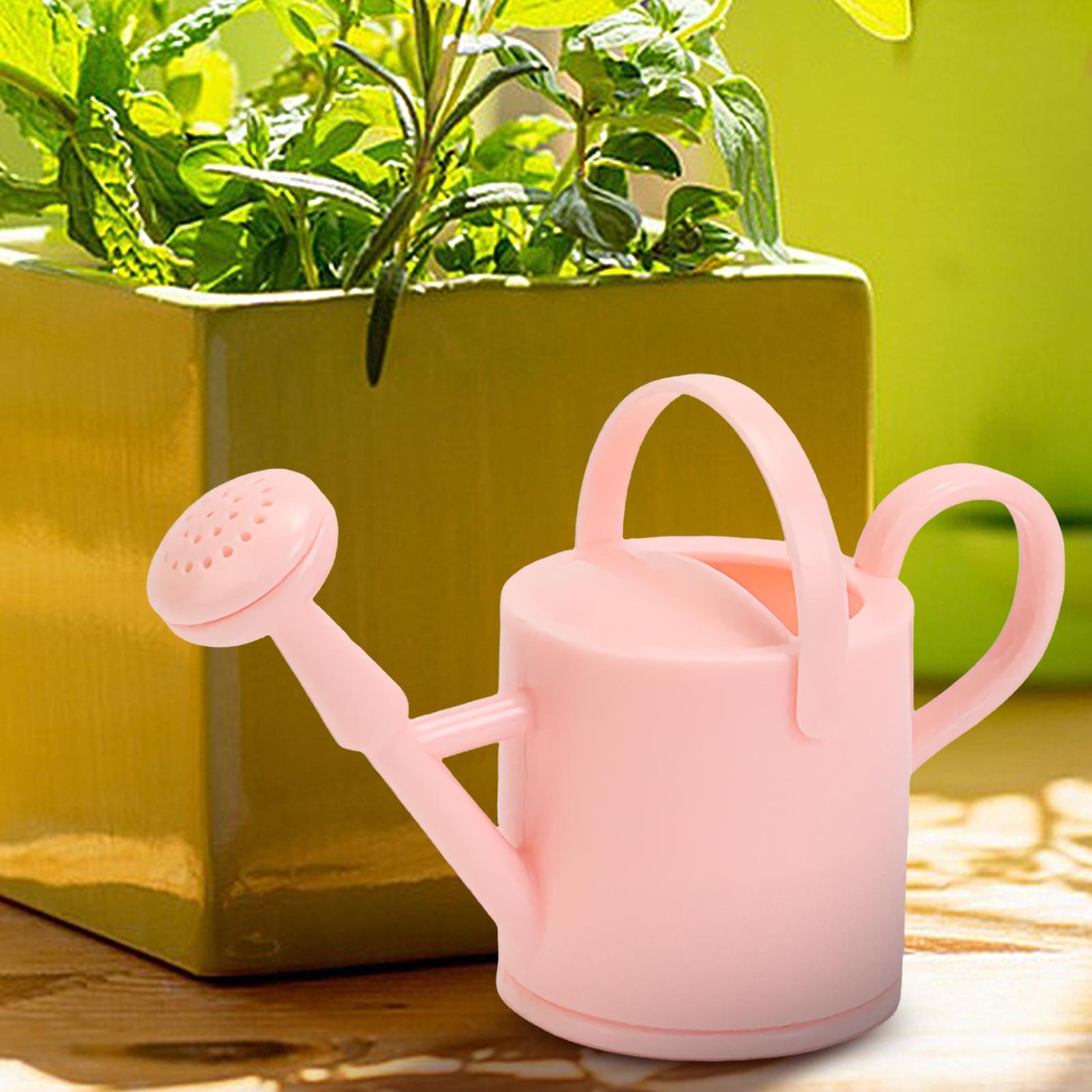 작은 어린이 물뿌리개, 유연한 꽃 물주기 주전자, 어린 - Gardening Tools For Beginners 리뷰 및 가격