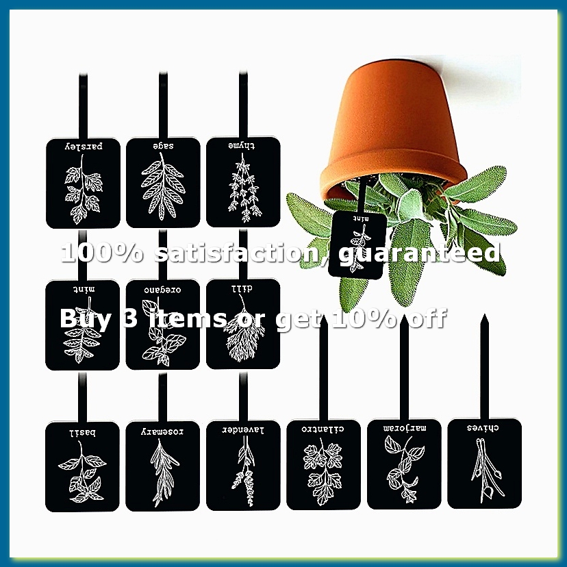 24개 아크릴 식물 라벨 표지판 12가지 스타일 정원  - Gardening Tools With Names 리뷰 및 가격