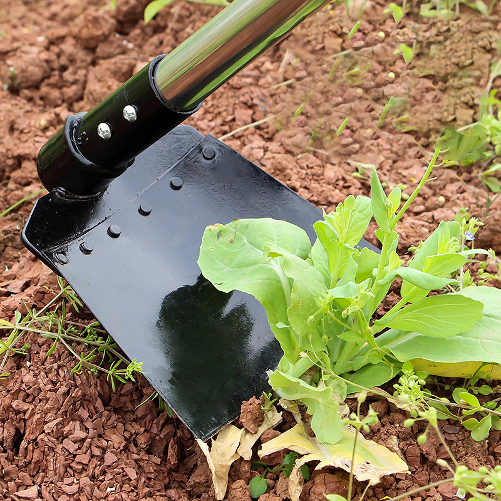 조절 가능한 긴 손잡이가 있는 잡초 제거용 낫, 흙을  - Gardening Tools Long Handle 리뷰 및 가격