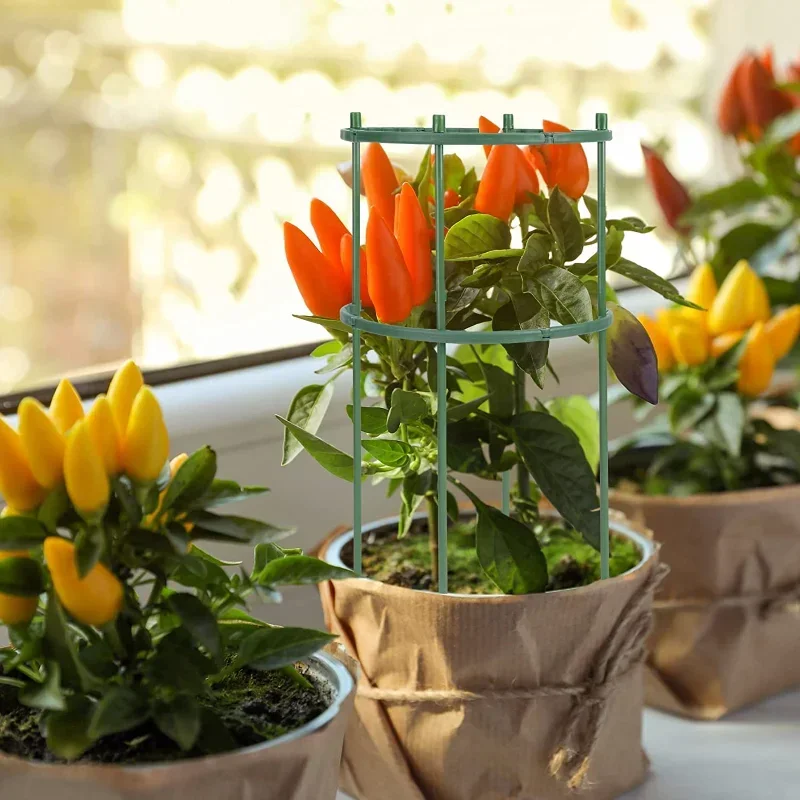 플라스틱 식물 지지대 꽃 온실 배열 고정 막대 홀더 정 - Gardening Tools Holder 리뷰 및 가격