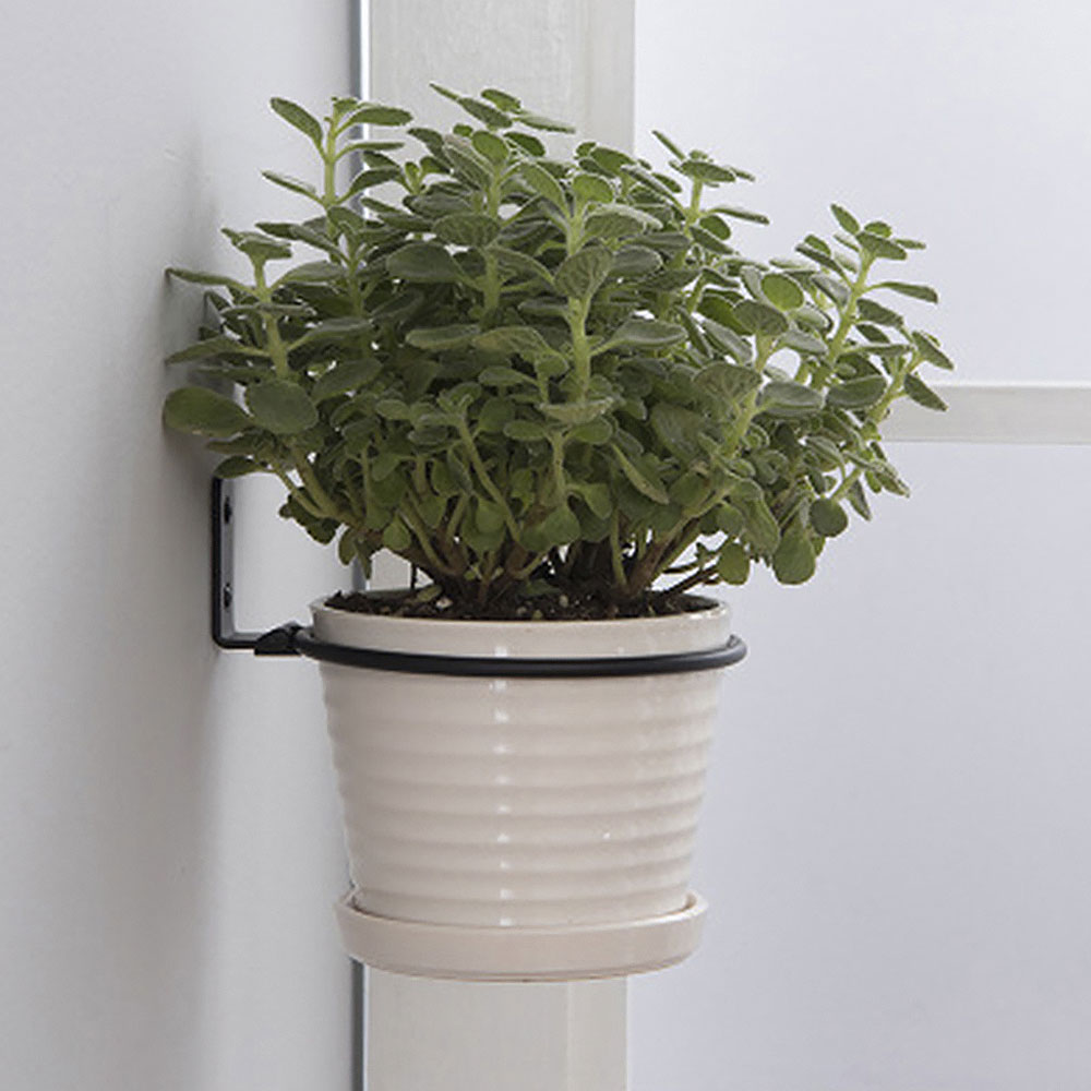 꽃 냄비 트레이 벽 마운트 냄비 반지 홀더 금속 화분  - Gardening Tools Holder 리뷰 및 가격