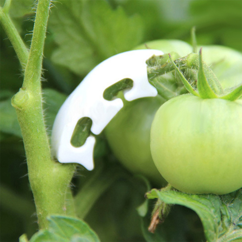 식물학 줄기 덩굴 스트랩 클립, 정원 식물 번들 버클  - Gardening Tools Holder 리뷰 및 가격