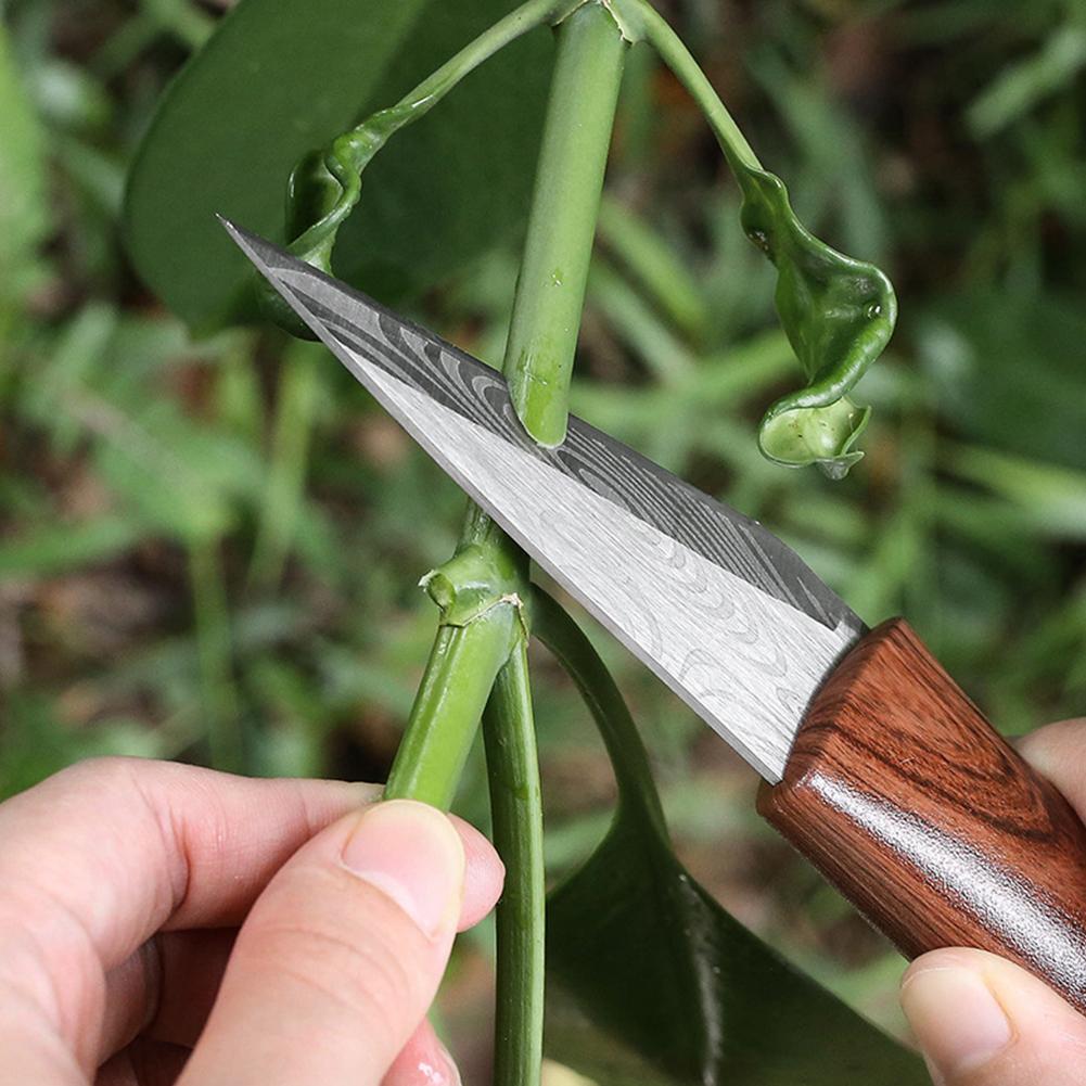 날카로운 접목칼, 나무 손잡이 및 가죽 칼집 포함, 발 - Gardening Tools For Beginners 리뷰 및 가격