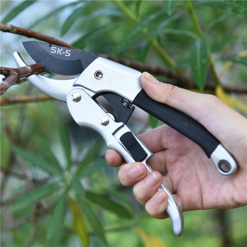 원예용 래칫 식물 트림, 손 가위, 과수원 가지 치기, - Gardening Tools For Beginners 리뷰 및 가격