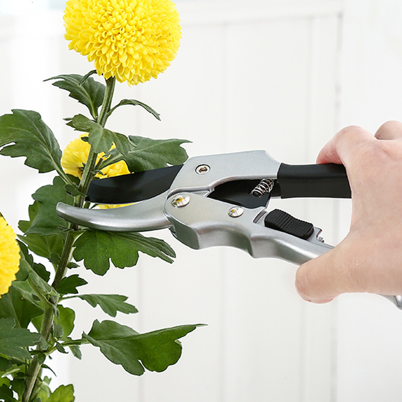 원예용 래칫 식물 트림, 손 가위, 과수원 가지 치기, - Gardening Tools For Beginners 리뷰 및 가격
