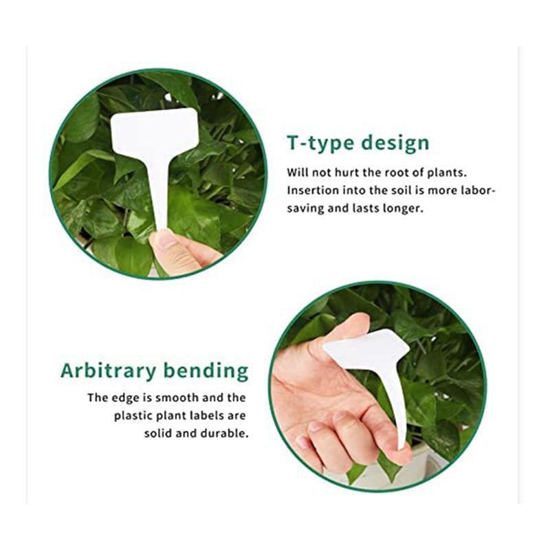 라나 식물 라벨 300개 4인치 플라스틱 식물 이름표  - Gardening Tools With Names 리뷰 및 가격