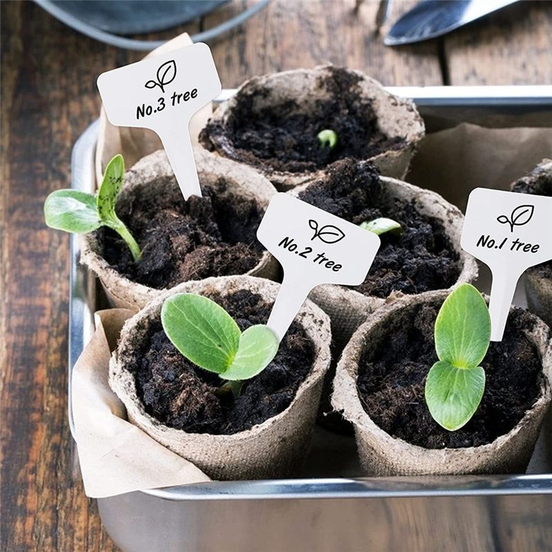 라나 식물 라벨 300개 4인치 플라스틱 식물 이름표  - Gardening Tools With Names 리뷰 및 가격