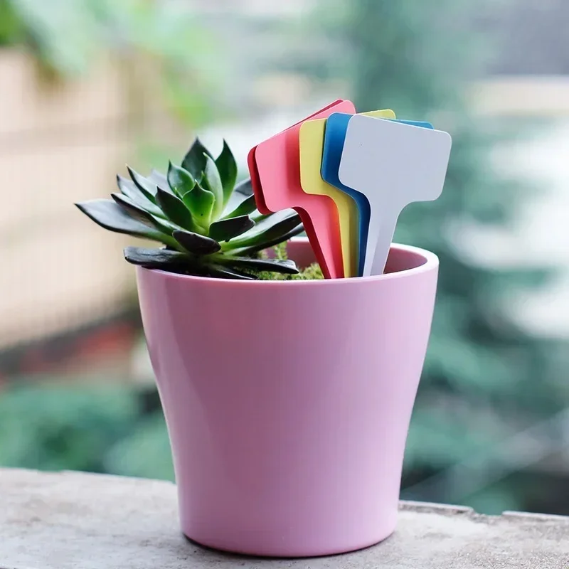 20 Pcs 플라스틱 방수 식물 이름 태그 스트립 라인 - Gardening Tools With Names 리뷰 및 가격