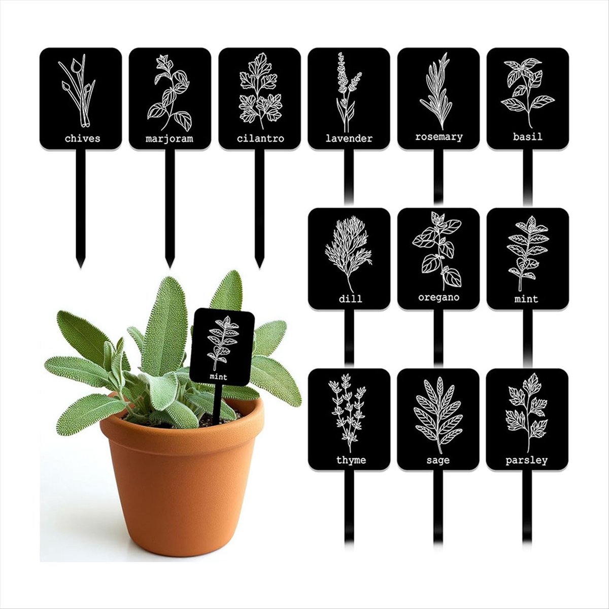 AA14 24개 아크릴 식물 라벨 표지판 12가지 스타 - Gardening Tools With Names 리뷰 및 가격