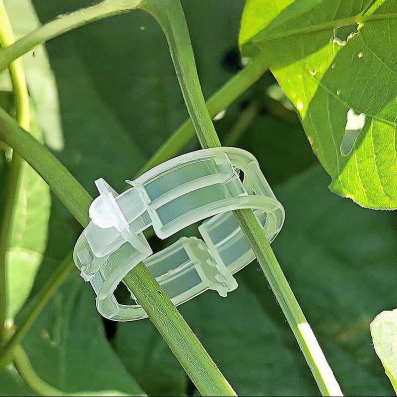 300/50개 식물 지지 클립 재사용 가능 플라스틱 연 - Gardening Tools Holder 리뷰 및 가격