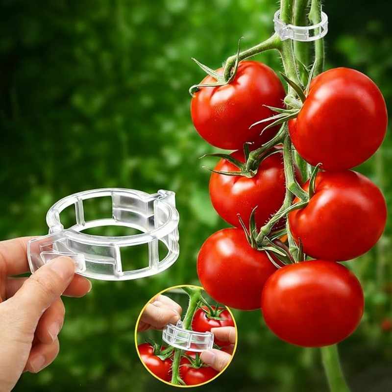 300/50개 식물 지지 클립 재사용 가능 플라스틱 연 - Gardening Tools Holder 리뷰 및 가격